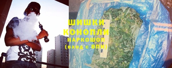 трава Аркадак