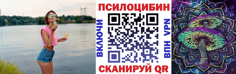 Купить где  Спасск-Дальний  Галлюциногенные грибы Psilocybe 
