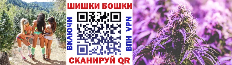 Купить закладки  Спасск-Дальний  Шишки марихуана OG Kush 